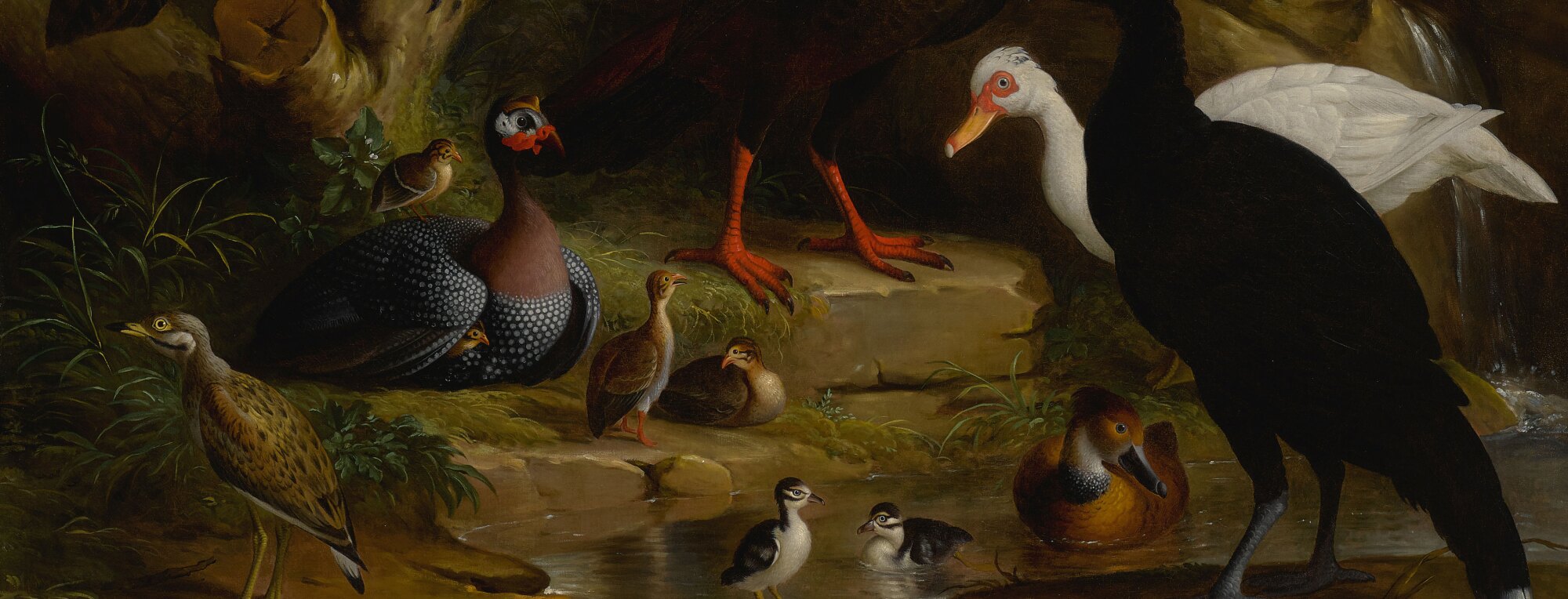 روابط پیچیده با والدین: فراتر از رویارویی ساده