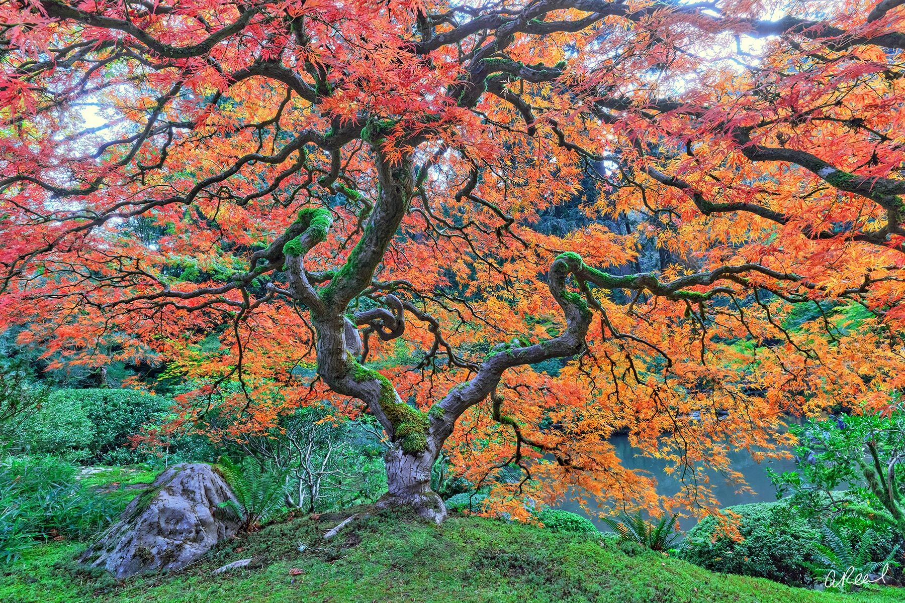 حمام و سلامت روان: فراتر از تمیزی