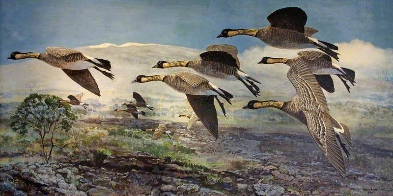 روابط بی‌پاسخ: دلتنگی برای سایه‌ها