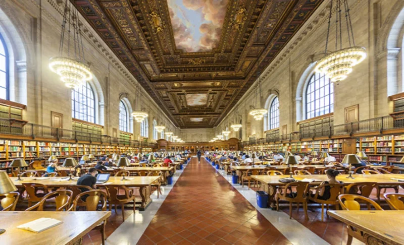 زنده باد کتابخانه!